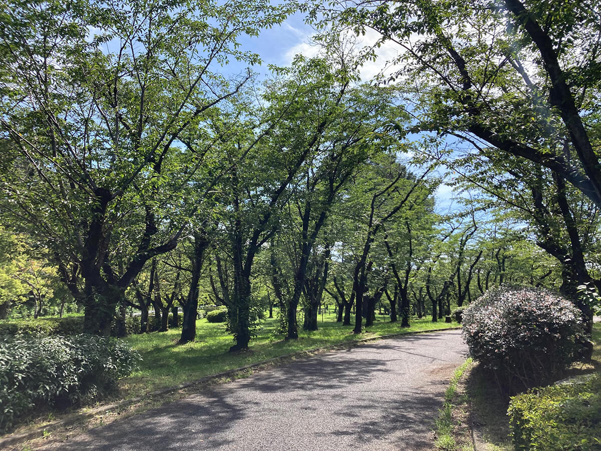 平和公園永昌院樹木葬05