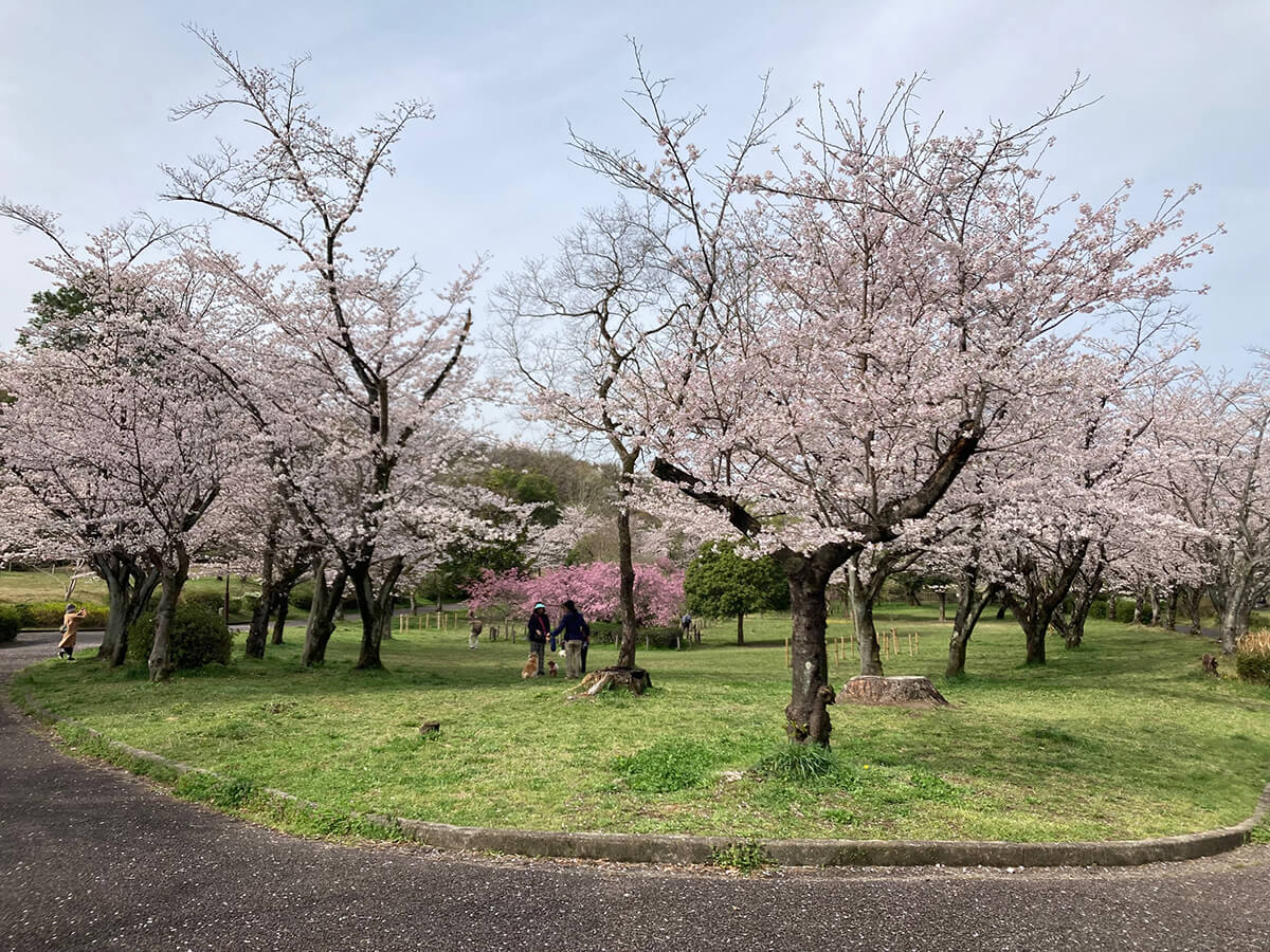 平和公園永昌院樹木葬07